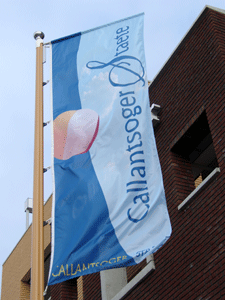 Banieren 100 x 350 in full color gedrukt Banieren 100 x 350 in full color gedrukt