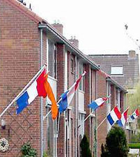Vlag en stok klein Vlag en stok klein